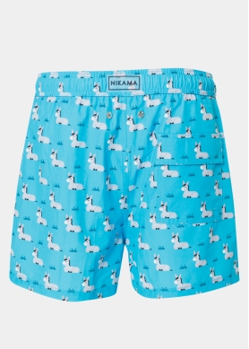 Donkeys Classic Men Swimwear