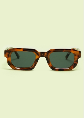 "Orion" Tortoise