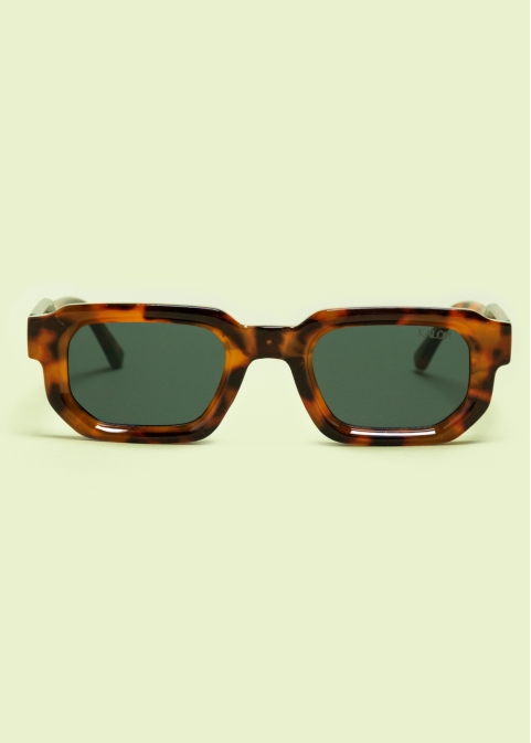 "Orion" Tortoise