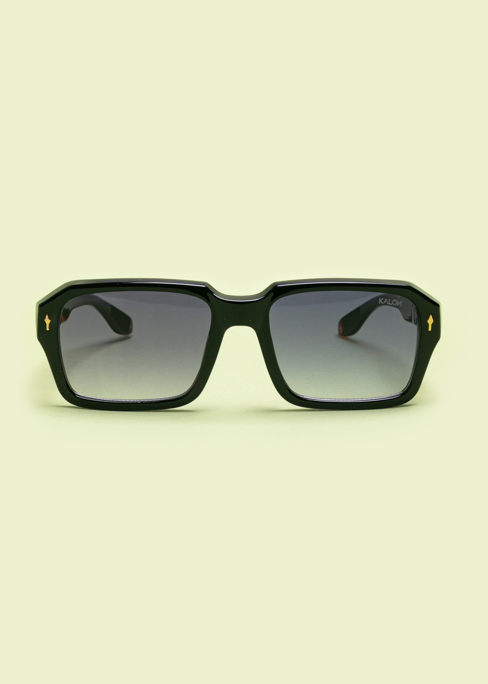 "Leon" Black Tortoise