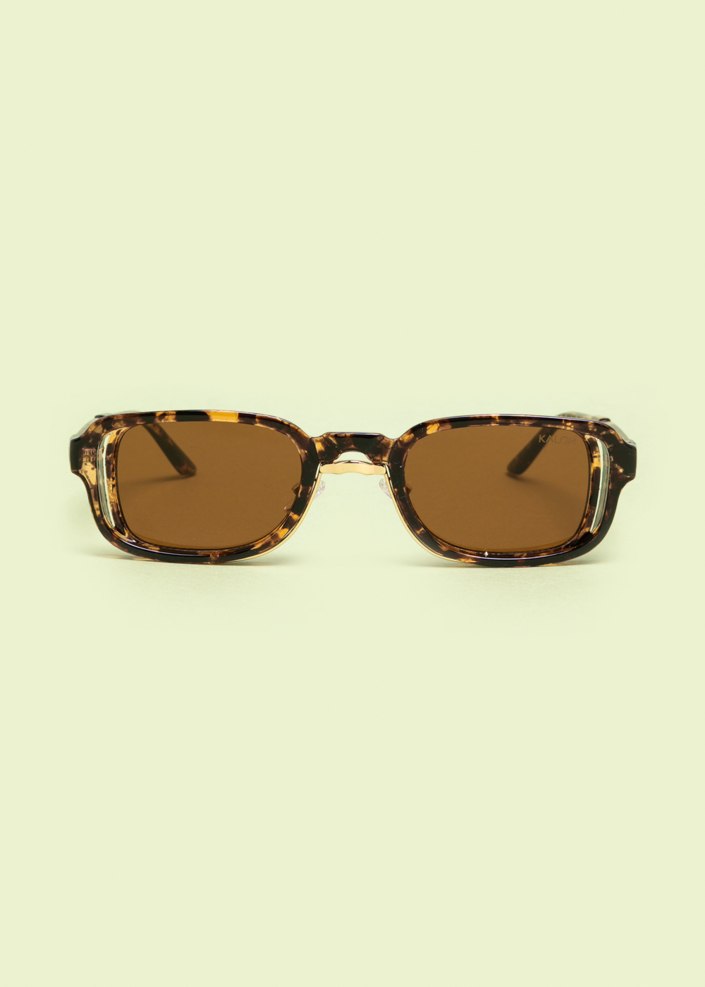 "Solaris" Tortoise