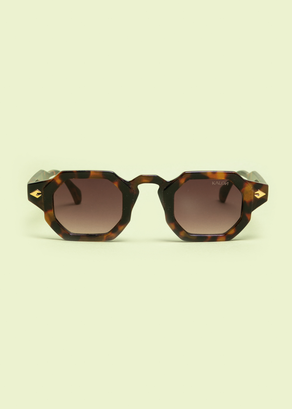 "Solstice" Tortoise